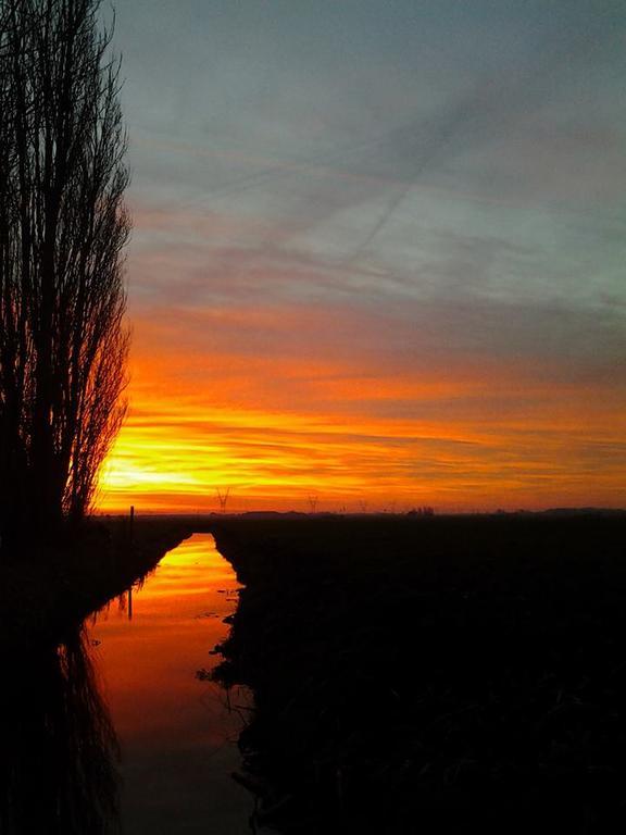 Affittacamere Boerderij Honswijck Weesp Esterno foto