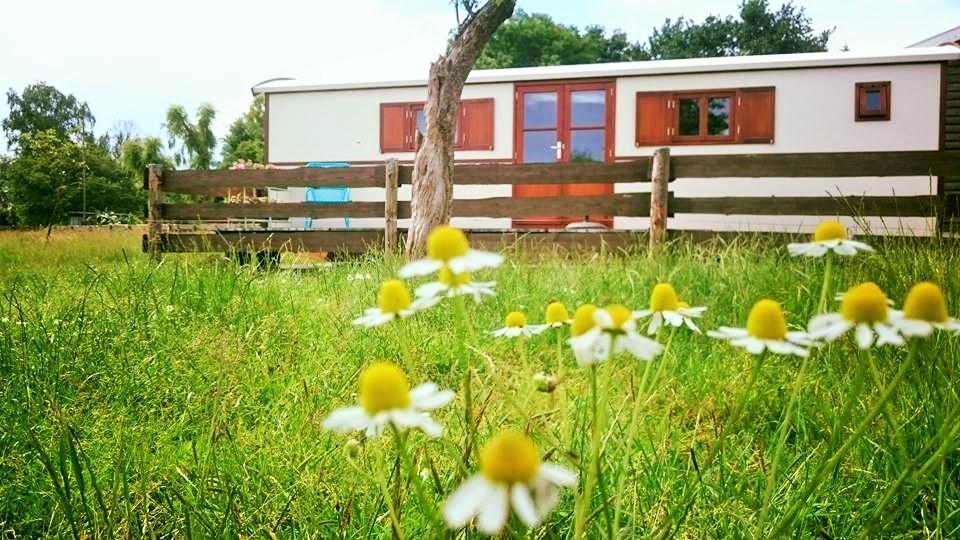 Affittacamere Boerderij Honswijck Weesp Esterno foto